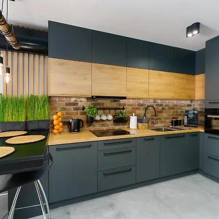 Loft House By Perlowa Przystan Rent Lägenhet *