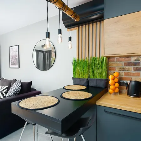 Loft House By Perlowa Przystan Rent